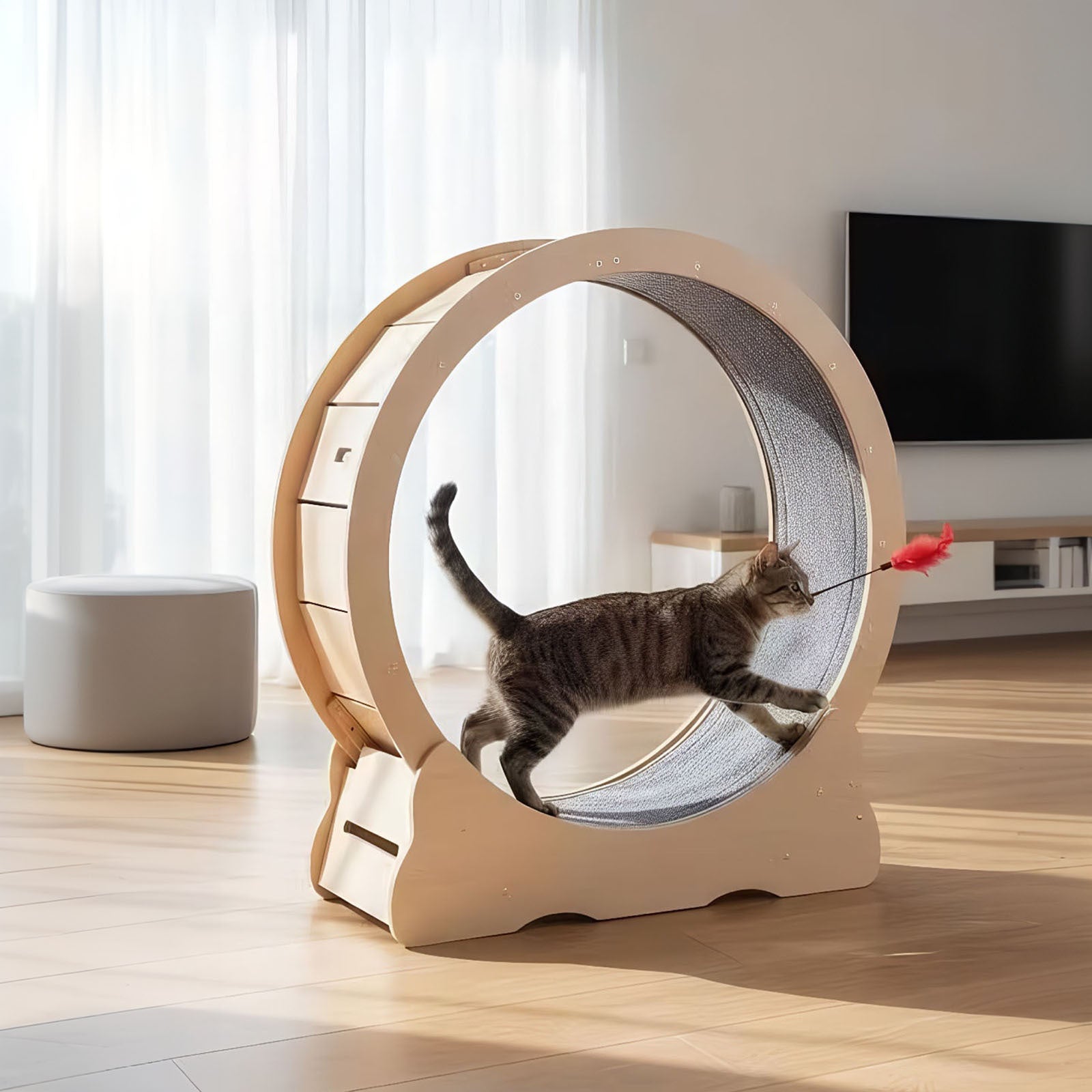 Large Cat Treadmill for Indoor Pets