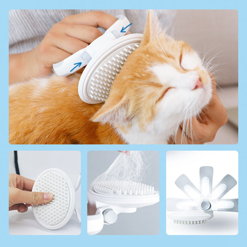 Brush Set Comb