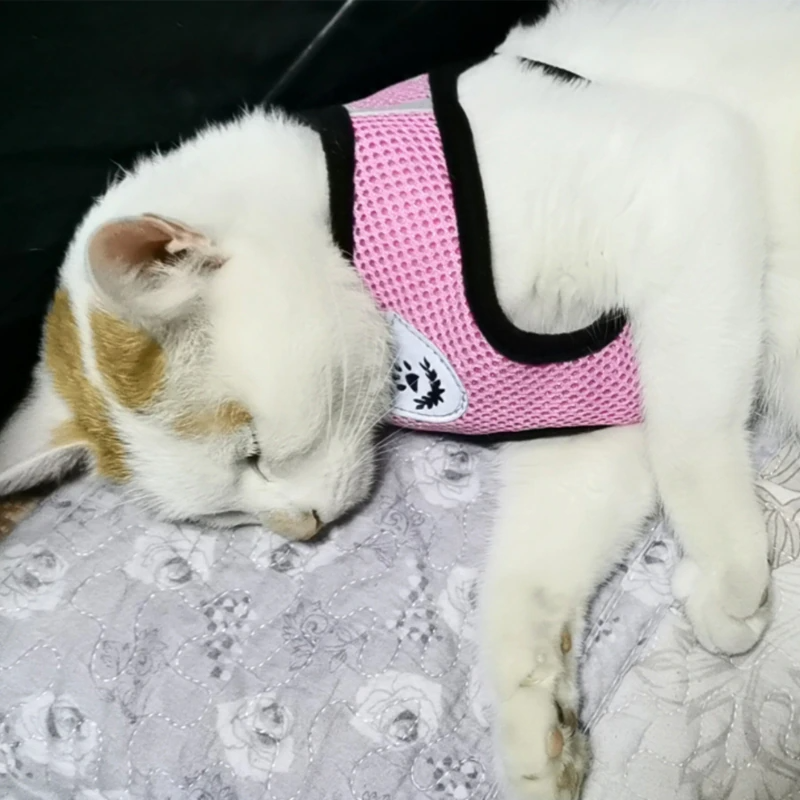 Cat Dog Pet Harness Reflective