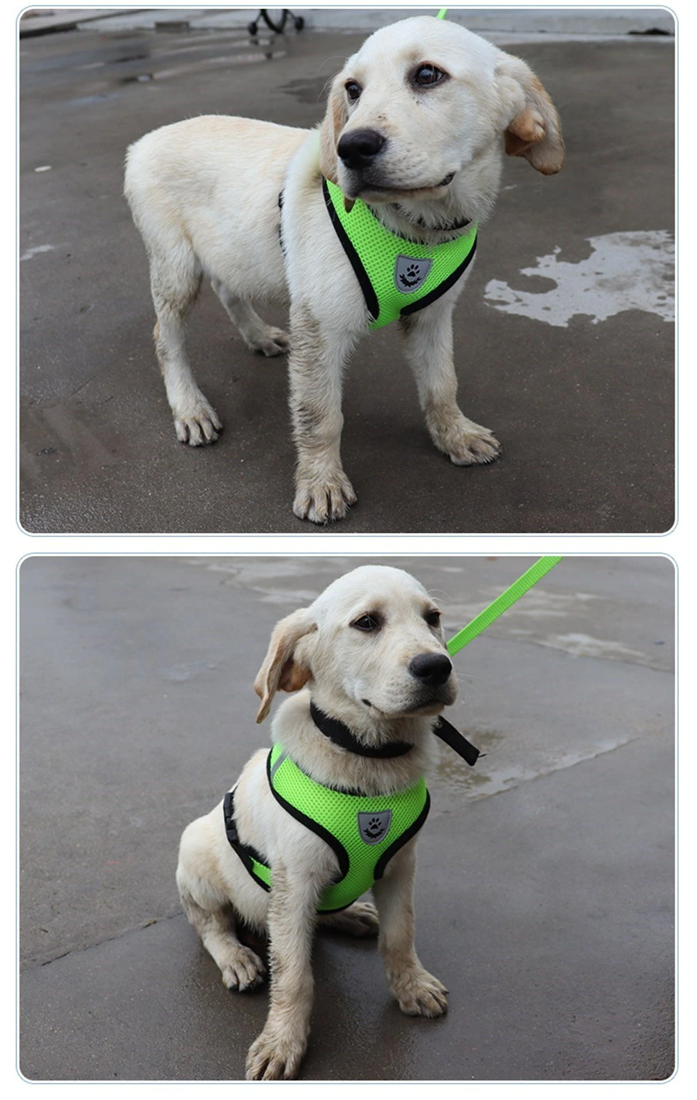 Cat Dog Pet Harness Reflective