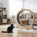 Large Cat Treadmill for Indoor Pets
