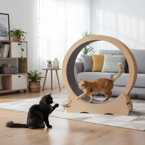 Large Cat Treadmill for Indoor Pets