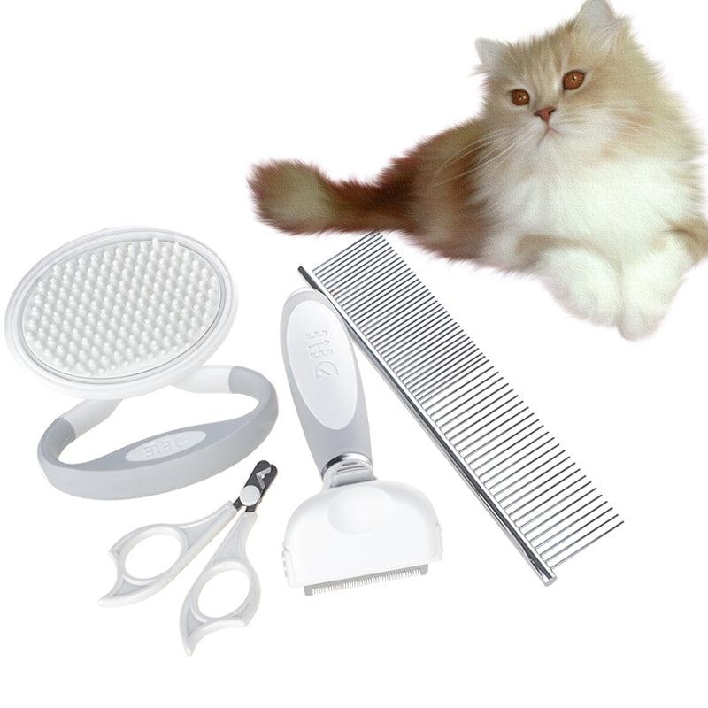 Brush Set Comb