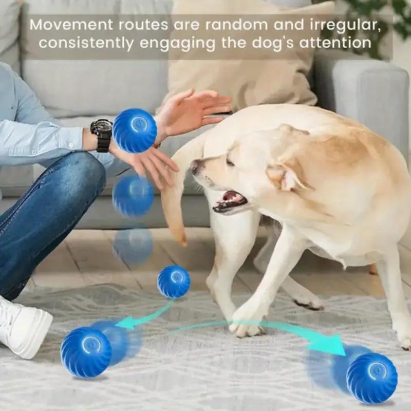 Orange Pet Bouncing Ball
