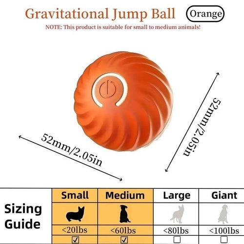Orange Pet Bouncing Ball