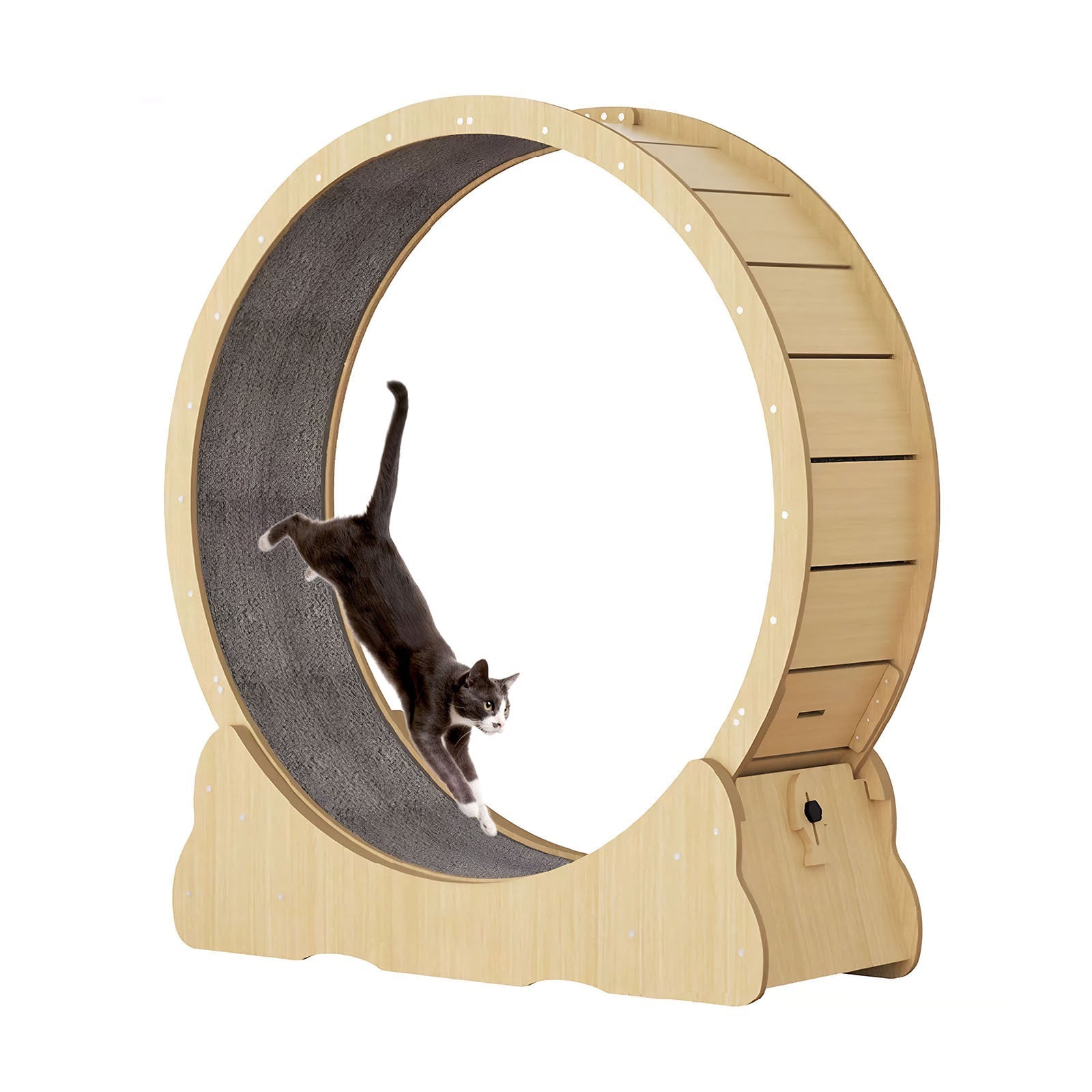 Large Cat Treadmill for Indoor Pets