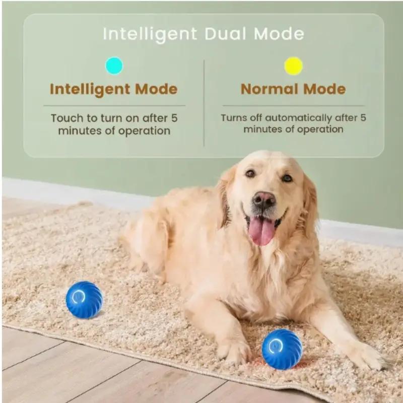 Orange Pet Bouncing Ball