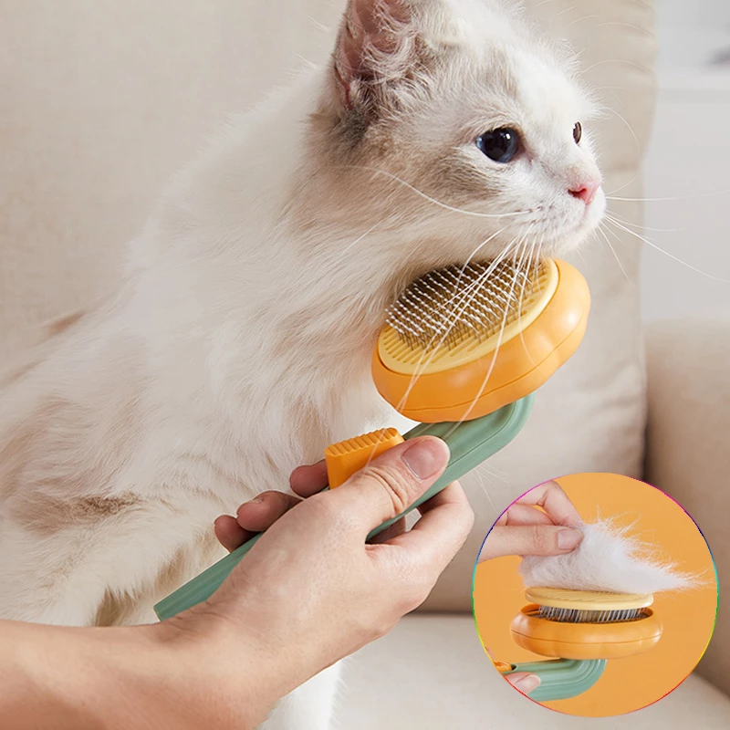 Cats Dog Grooming