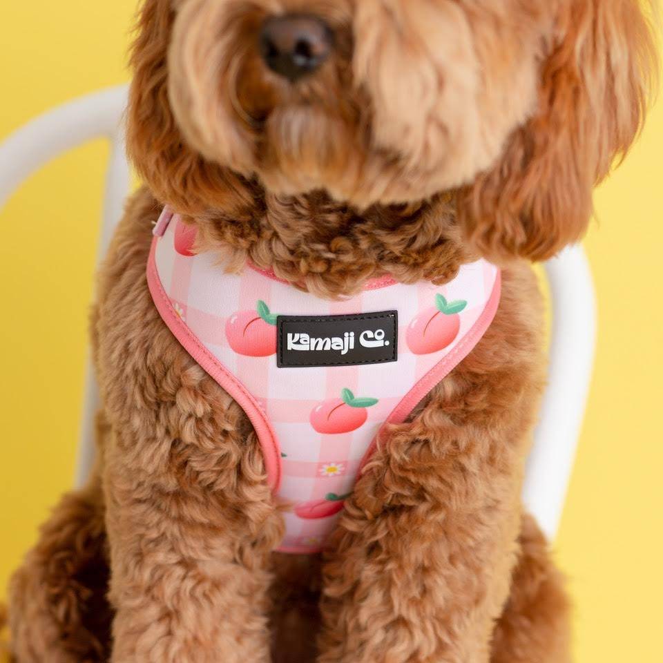 Peach Collection-Adjustable Harness