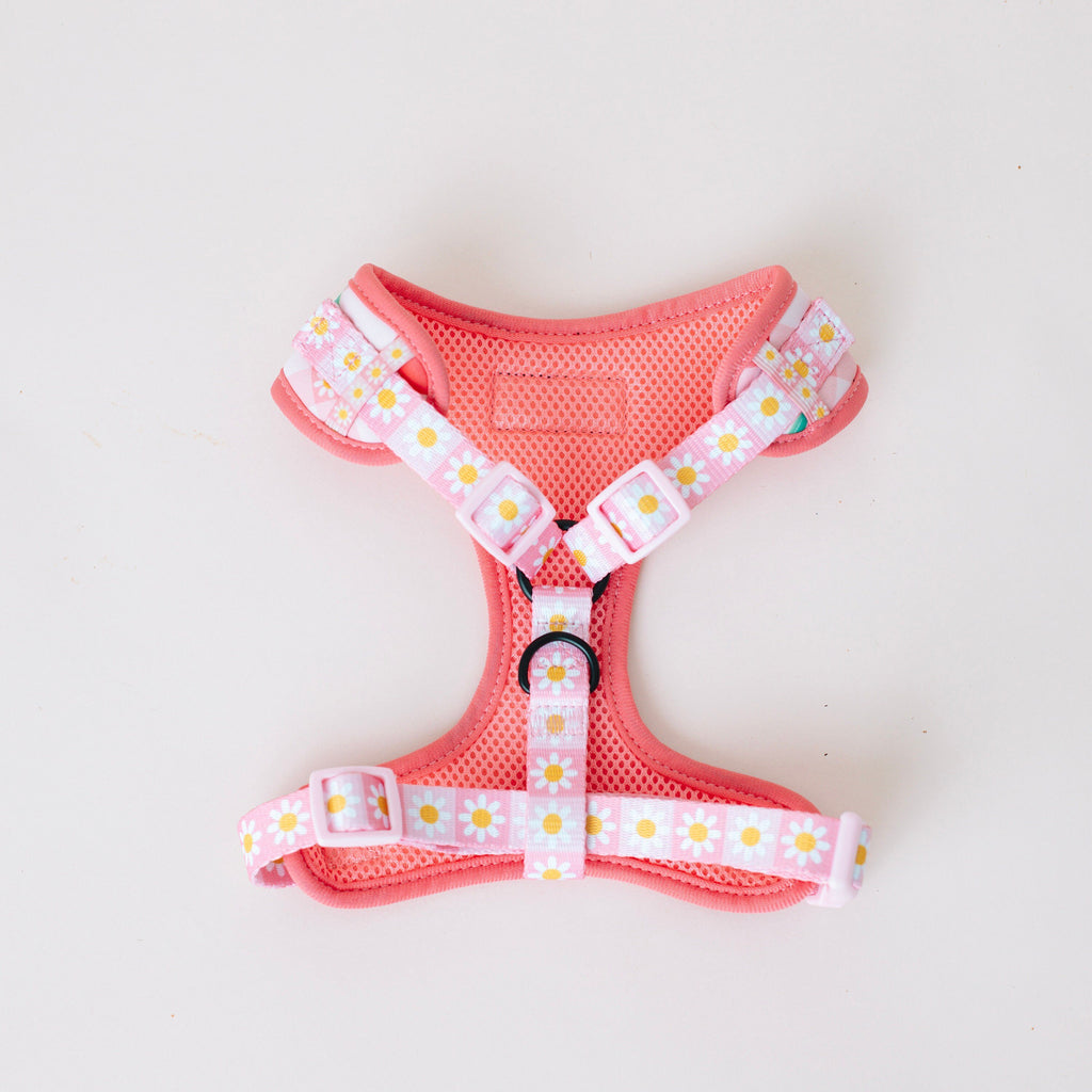 Peach Collection-Adjustable Harness
