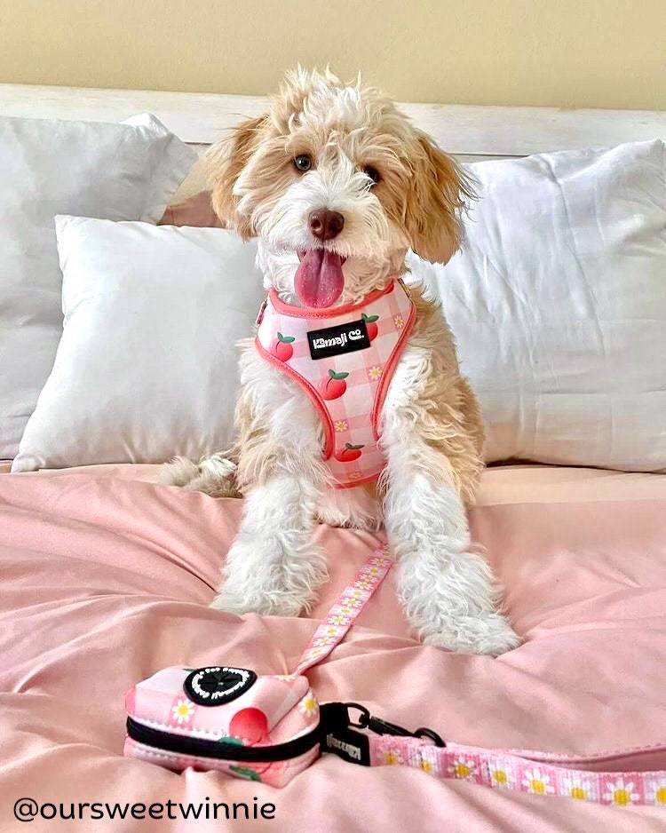 Peach Collection-Adjustable Harness