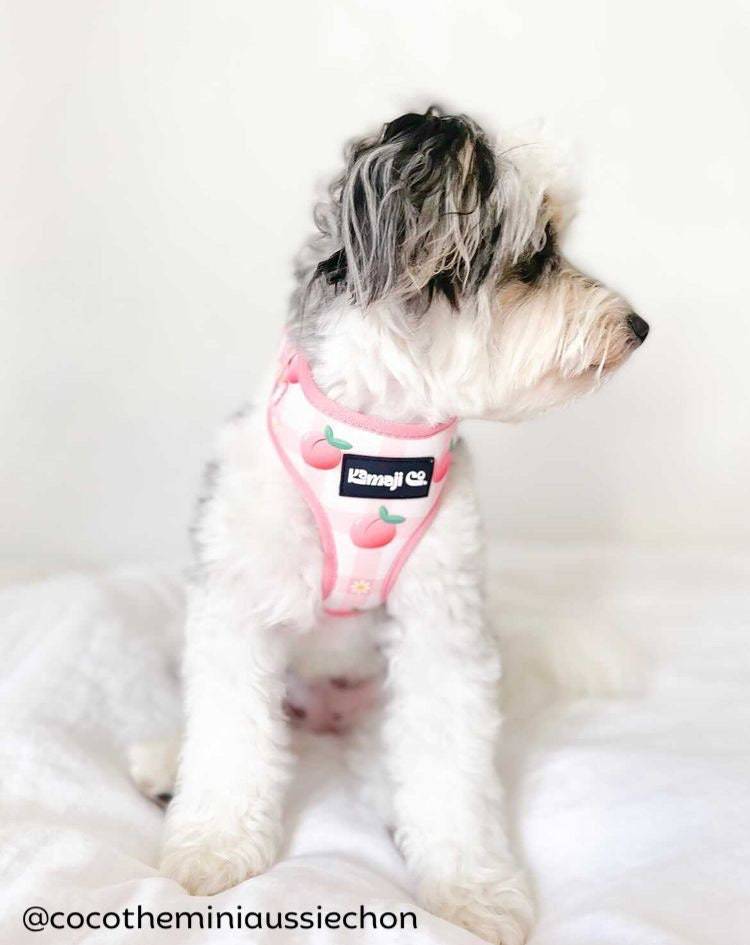 Peach Collection-Adjustable Harness