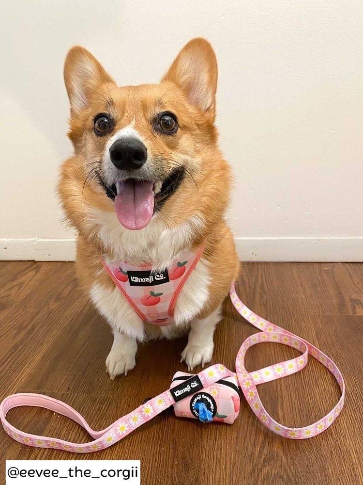 Peach Collection-Adjustable Harness