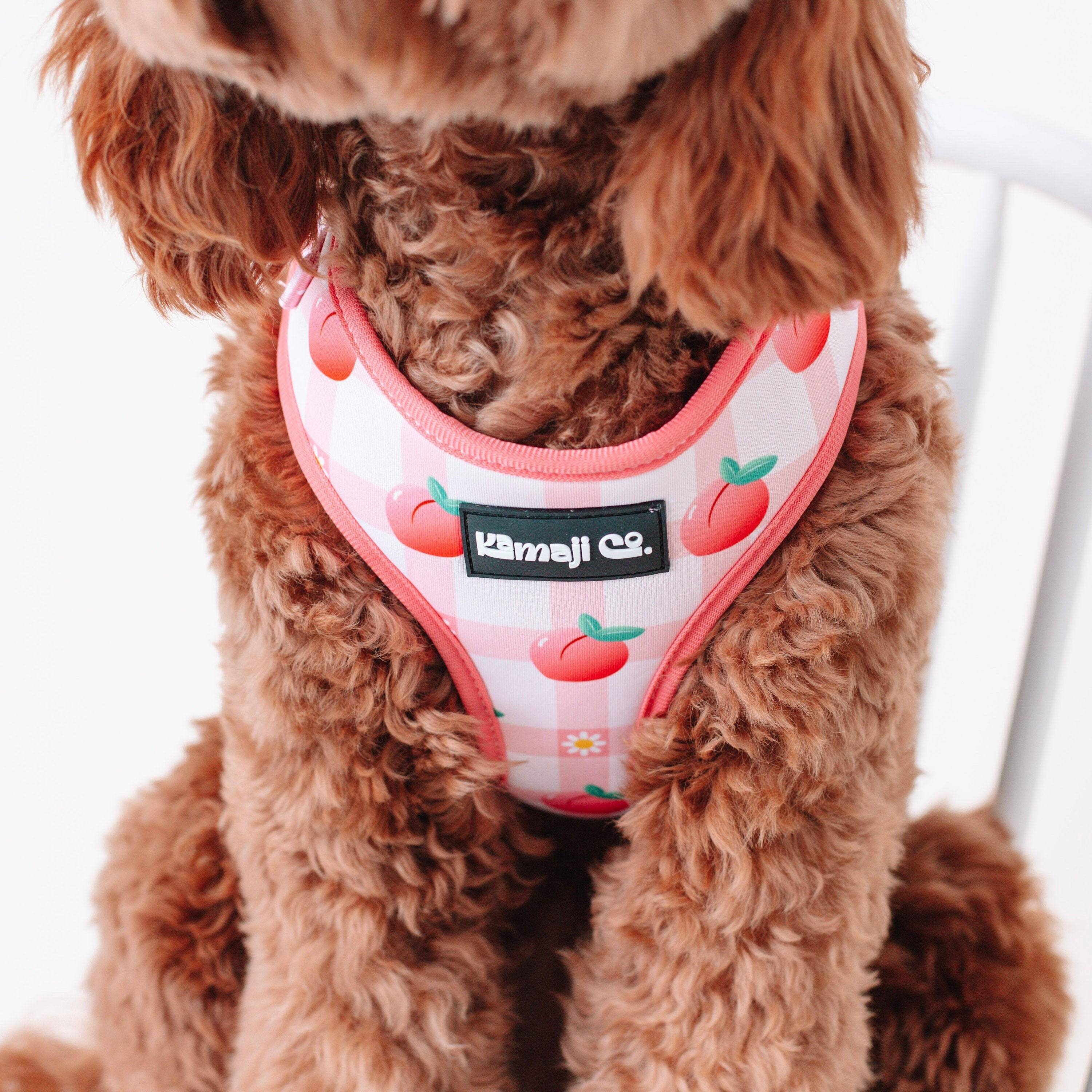 Peach Collection-Adjustable Harness